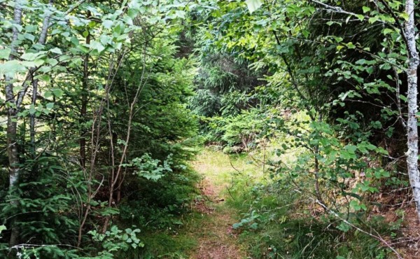 f2191130-a79f-476d-909c-ac09354c2383