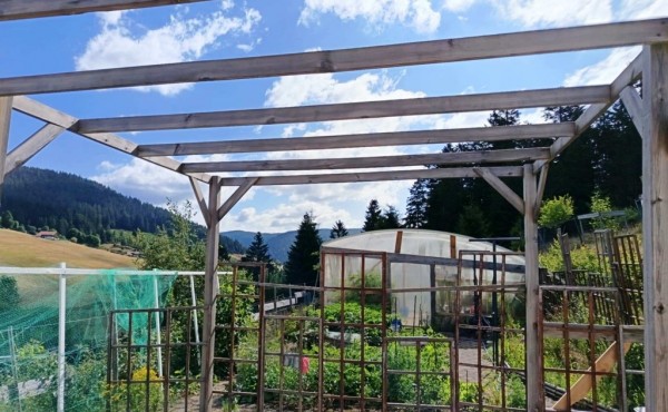 f613932a-81e5-4df4-8f23-aea853ac09c5