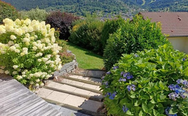 ff54a245-ea07-485c-b373-567e861c9590