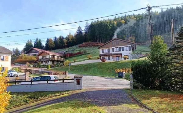 fe8609ae-00bf-4e33-a34e-dd31ee5a2dd1