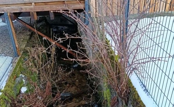 1e46c57e-64ab-4f7d-9b27-64ef9404c89a