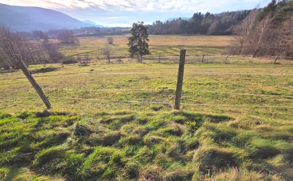 3c8d6b5a-8056-4556-aba1-ca7a93efdc19