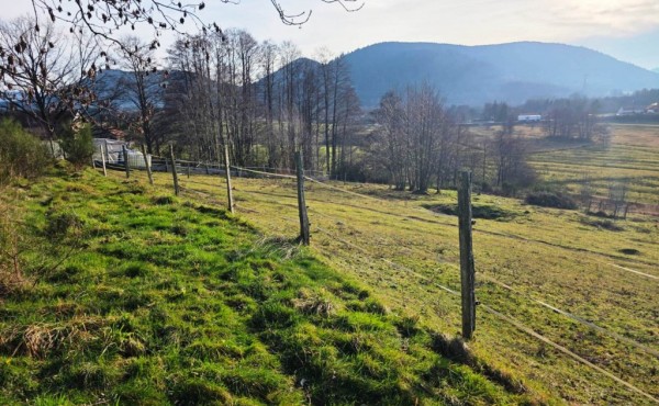 446e7265-07d0-4cc5-b8fb-503aec263d5c