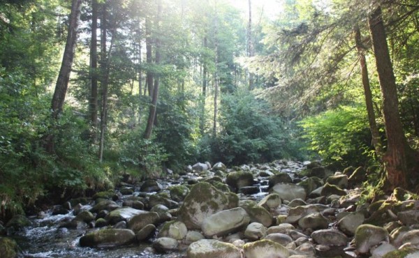 138_30f48c3c-14b5-41c2-874e-6e7d24d14094.c10