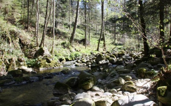 138_aaa6914c-b7b7-476d-86ad-df2aa23ad472.c10