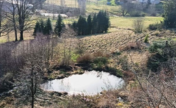 09a052c0-ccb2-46c5-956d-6a8f08b48675