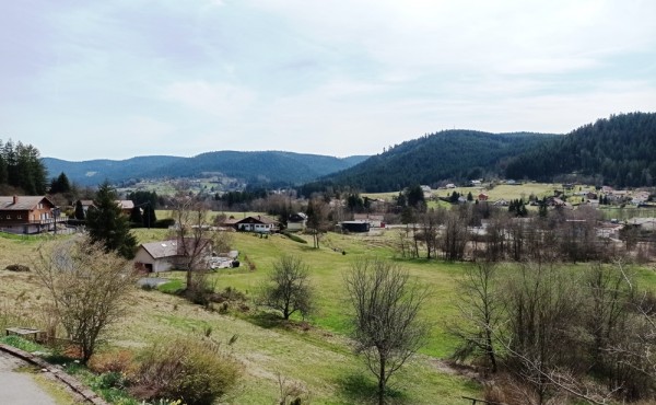 230_img_20220412_131437