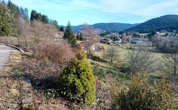 9bfe1fb5-0c97-4159-bb2d-8ea42e35982c