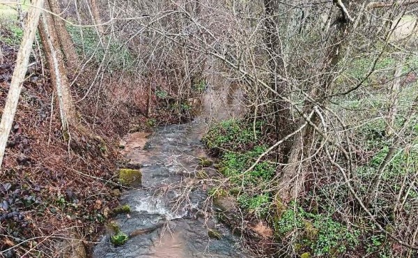 105fe93d-82f3-4b2e-a221-443550155e4d