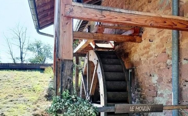 2a74cfd0-6f55-47e1-8719-d35895994514