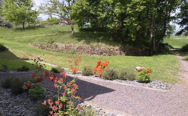 7185eb63-2832-4898-92c2-4c2fca2bfb73