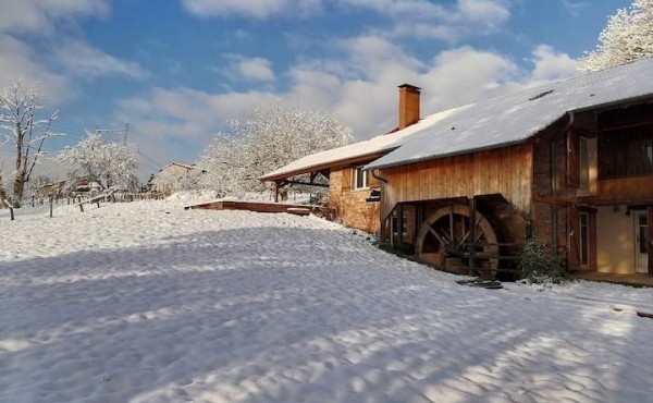 d2e5b736-faae-4018-a1f9-04e1d6780b2f